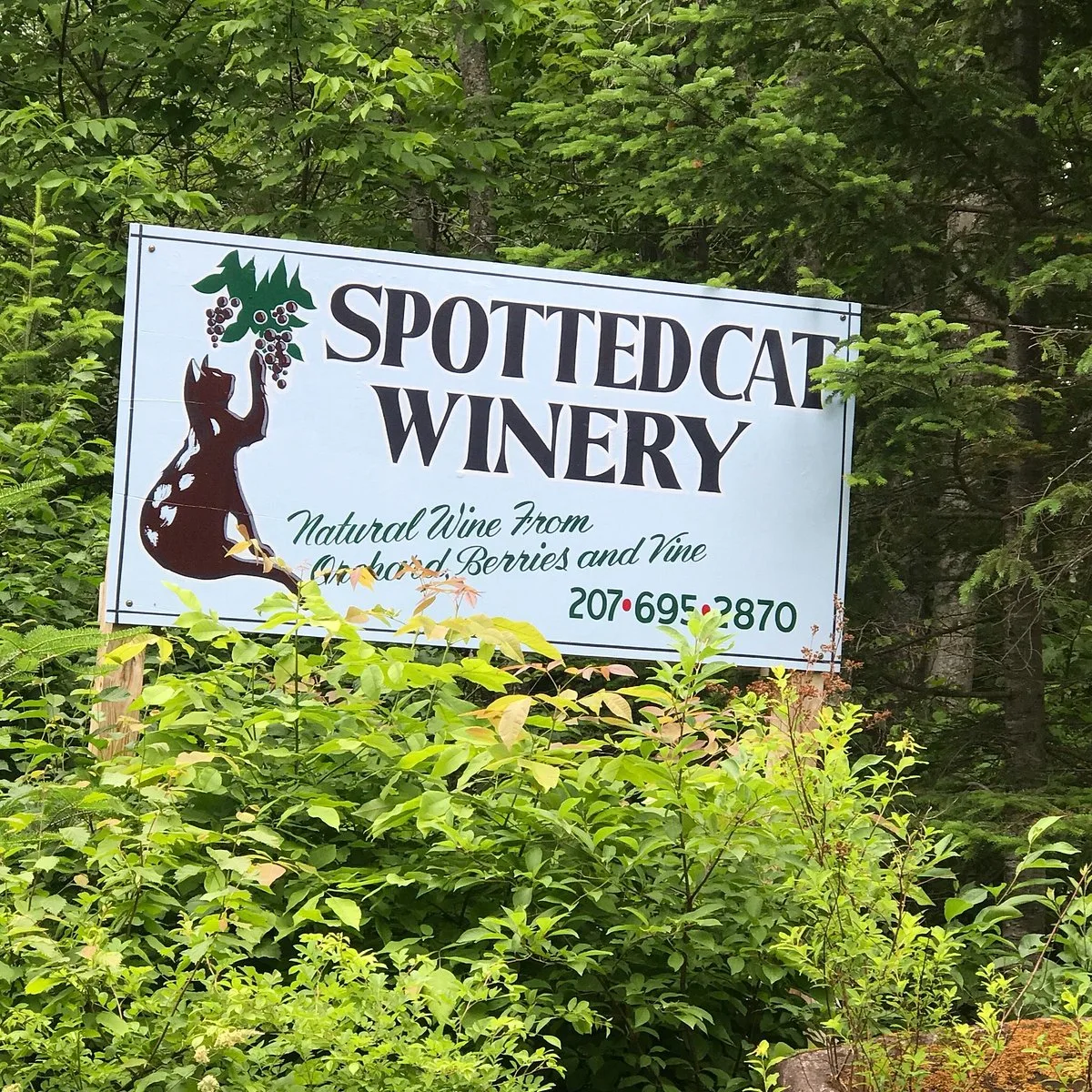 Winery